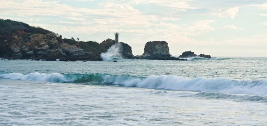 February 08, 2012-DSC_7294 February 08 2012 DSC 7294 548x260 The Oaxacan Coast